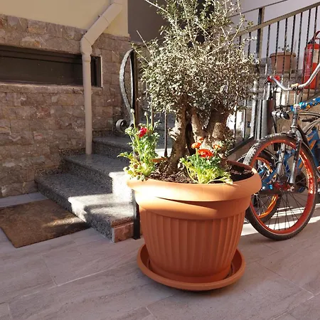 아파트 Tafa 티라나